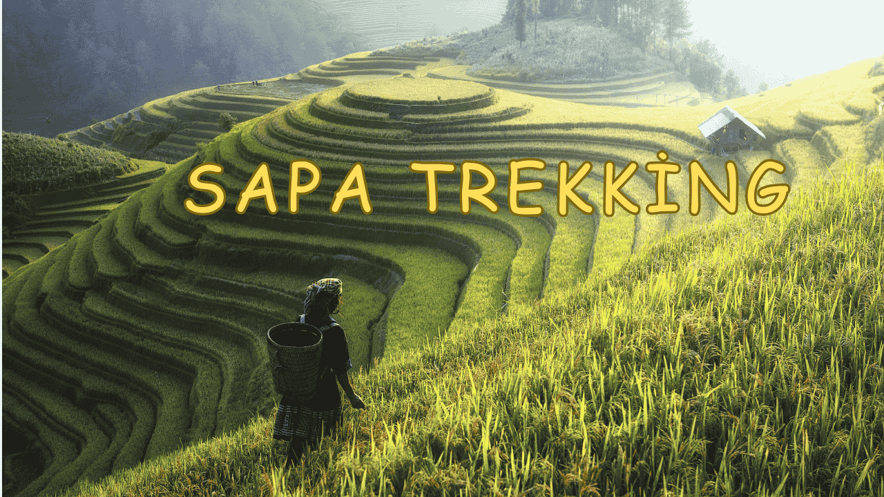 Sapa 3D2N Trekking: Authentic Village Stay & Hidden Trails