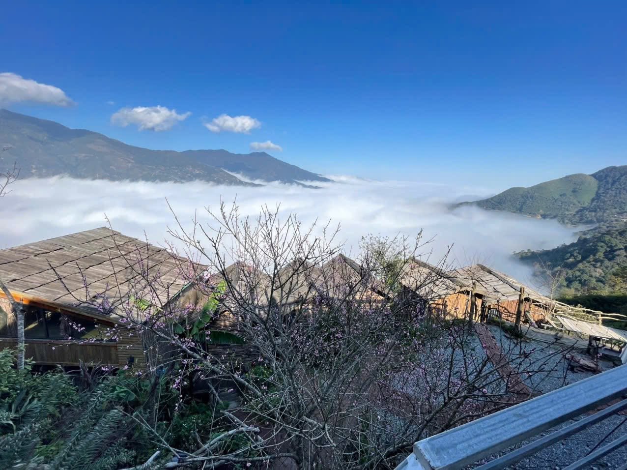 Homestay Tà Xùa C